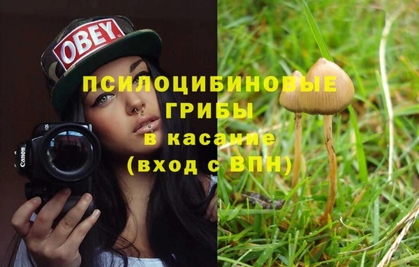 марихуана Медвежьегорск