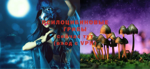 скорость Мегион