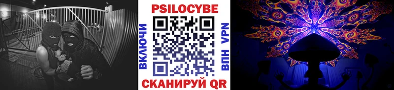 Псилоцибиновые грибы мицелий  Купить закладки  Гулькевичи 